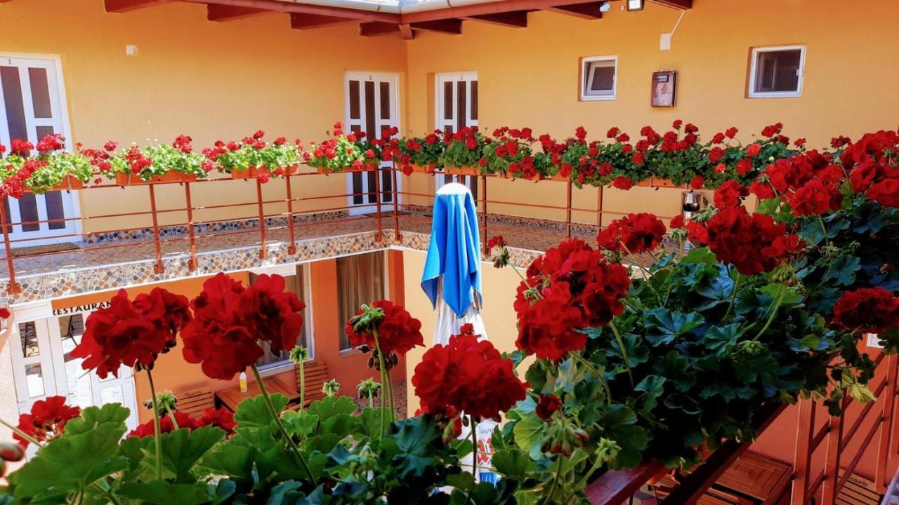Hotel Casa Leucian Deva Zewnętrze zdjęcie