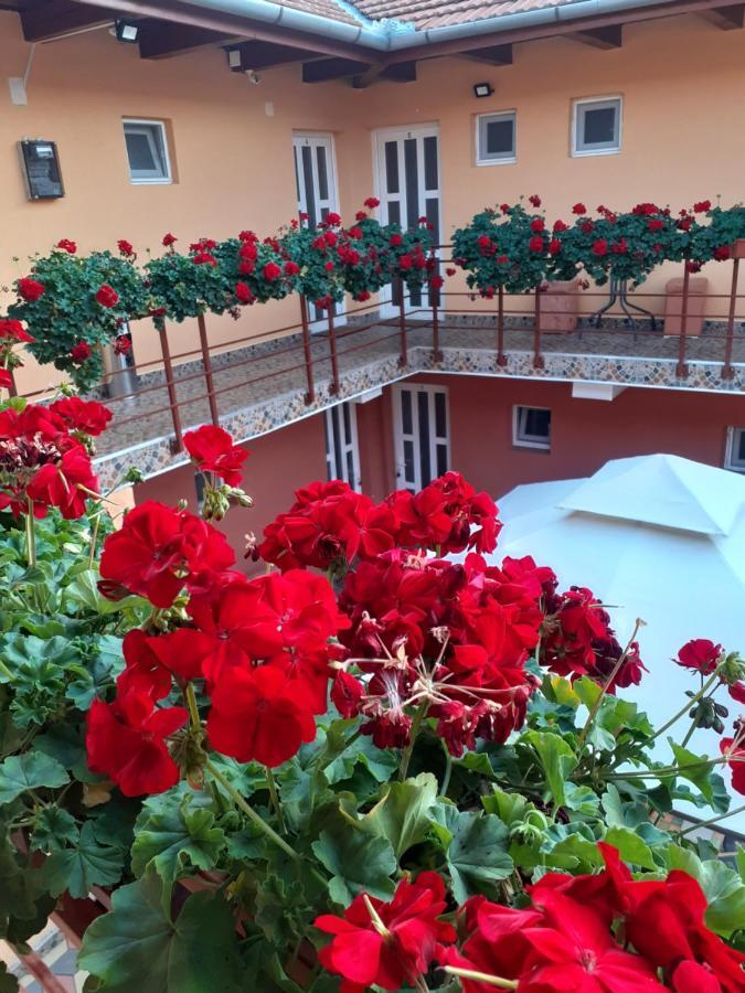 Hotel Casa Leucian Deva Zewnętrze zdjęcie